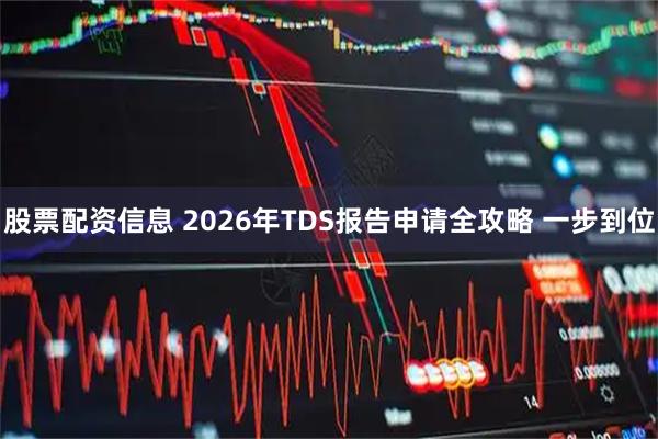 股票配资信息 2026年TDS报告申请全攻略 一步到位