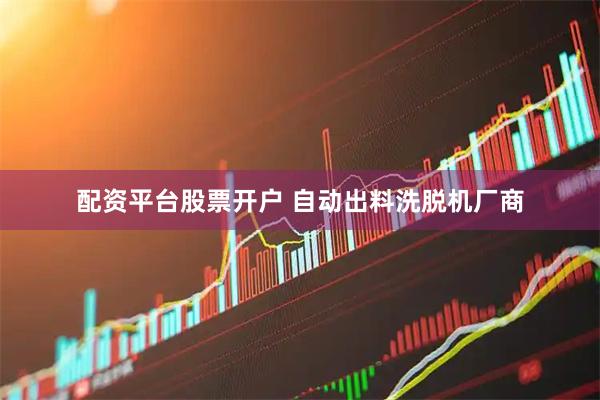 配资平台股票开户 自动出料洗脱机厂商